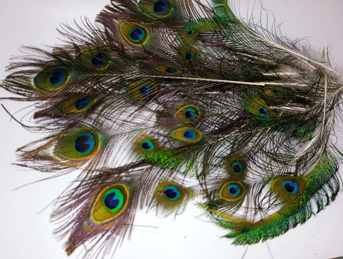 Plumas De Pavo Real 10-40cm, 22 Unid. Decoración Azul - foto 4