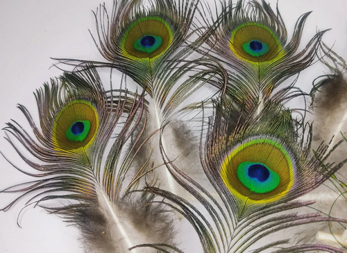 Plumas De Pavo Real, 10 A 30 cm, 34 Unidades - foto 2