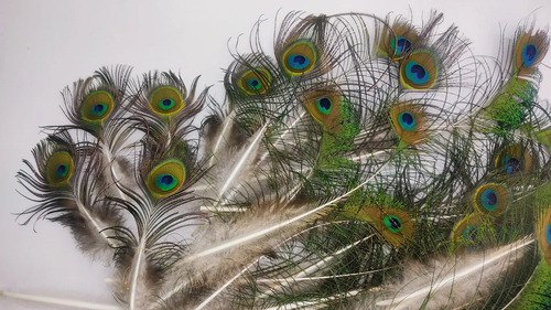 Plumas De Pavo Real, 10 A 30 cm, 34 Unidades - foto 5