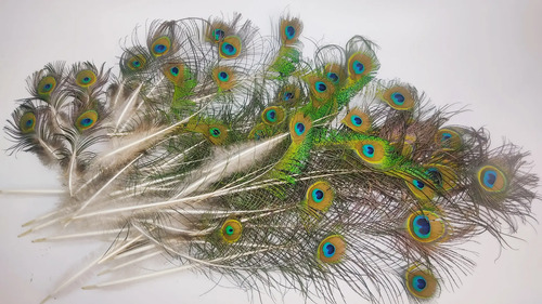 Plumas De Pavo Real, 10 A 30 cm, 34 Unidades - foto 6