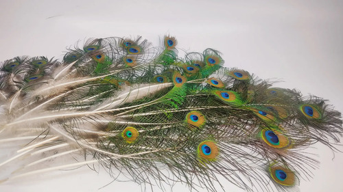 Plumas De Pavo Real, 10 A 30 cm, 34 Unidades - foto 7