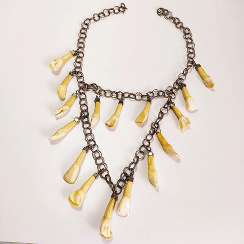 Collar Artesanal De Los Llanos De Colombia, Con Dientes Originales