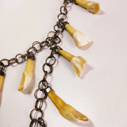 Collar Artesanal De Los Llanos De Colombia, Con Dientes Originales - foto 4