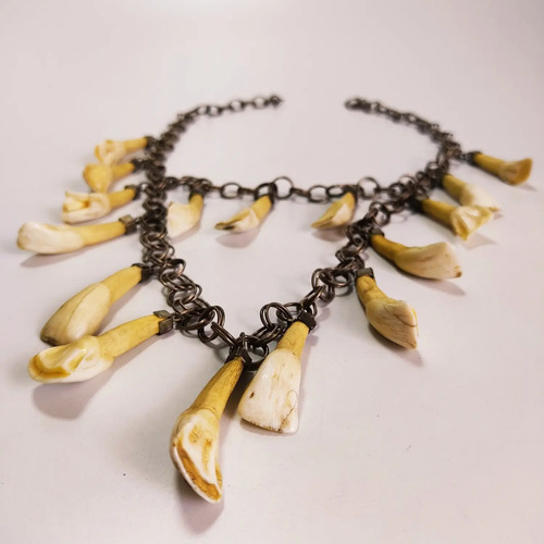 Collar Artesanal De Los Llanos De Colombia, Con Dientes Originales - foto 6