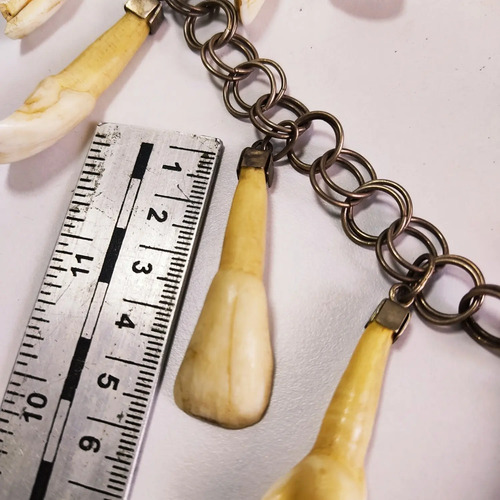 Collar Artesanal De Los Llanos De Colombia, Con Dientes Originales - foto 8