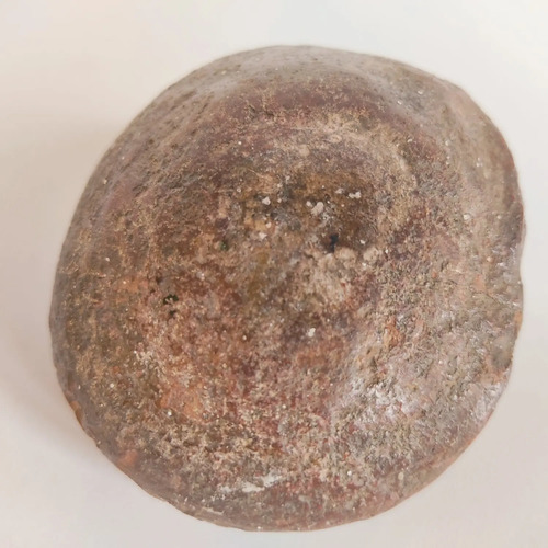 Fósil De Ammonite En Piedra, Amonita - foto 3